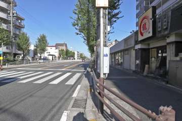 敷地北側の前面道路（西側から）