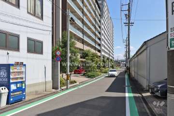 敷地南側の前面道路(西側から)