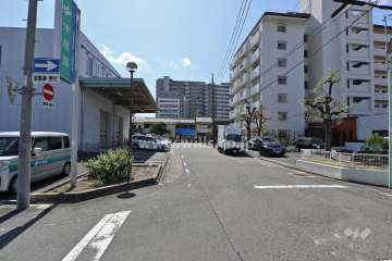 敷地東側の前面道路（北側から）