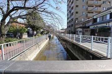 敷地北側の前面道路