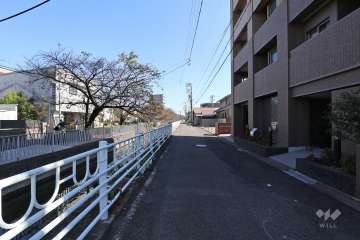 敷地北側の前面道路
