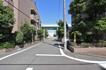 敷地西側の前面道路（南側から）