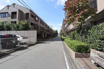 敷地北側の前面道路（笹塚町線第3号）