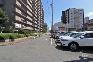 敷地南側の前面道路（西側から）