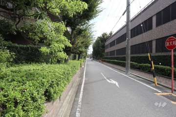 敷地南側の前面道路（西側から）