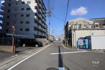 敷地南東側の前面道路（南西側から）