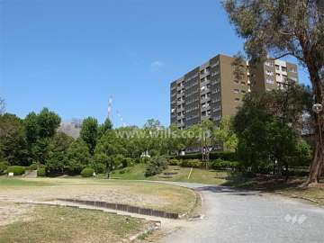 敷地南側には道を挟んで千里南公園が広がっています。