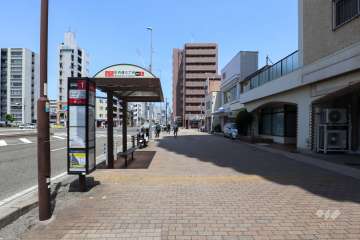 敷地西側の前面道路（南側から）