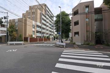 敷地南側の前面道路