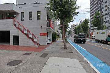 敷地南側の前面道路（西側から）