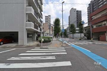敷地南側の前面道路（西側から）