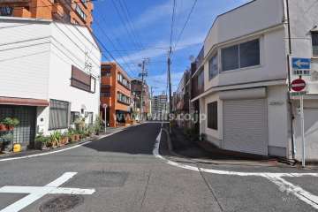 敷地東側の前面道路（南側から）