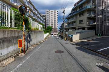 敷地北側の前面道路（西側から）