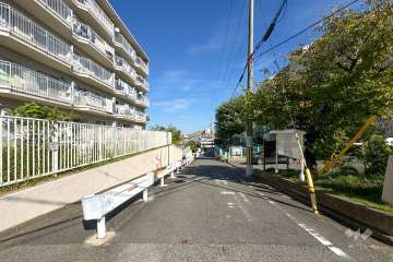 敷地北側の前面道路（西側から）