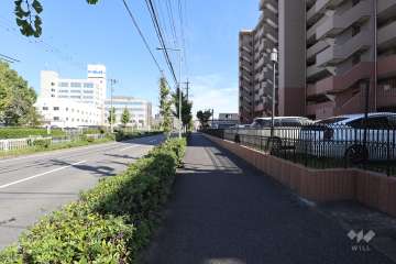 敷地西側の前面道路