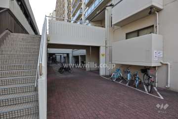 敷地内北側の通路