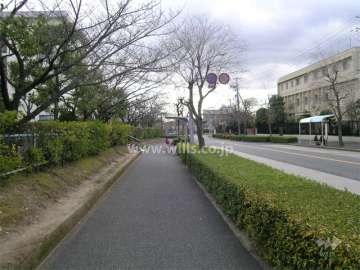 敷地西側はバス通り面しています（バス停が目の前にあります）