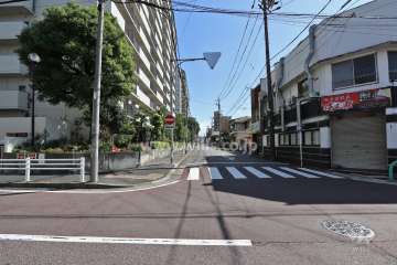 敷地南側の前面道路（西側から）