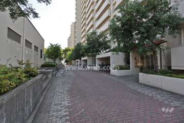 敷地内北側の通路