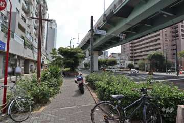 敷地西側の前面道路（北側から）