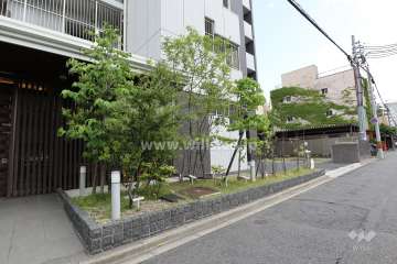 敷地内の各所に植栽スペースが設けられています。