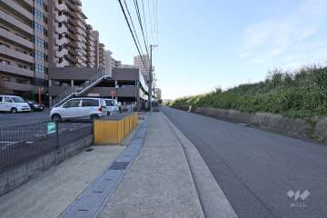敷地北側の前面道路。道を挟んで新川が流れています。