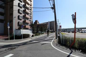 敷地西側の前面道路（北側から）