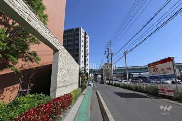 敷地西側の前面道路