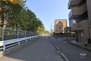 敷地北側の前面道路(西側から)