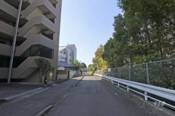 敷地北側の前面道路(東側から)