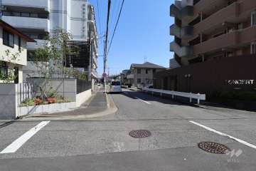 敷地北側の前面道路（西側から）