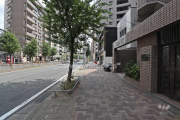 敷地北側の前面道路（西側から）