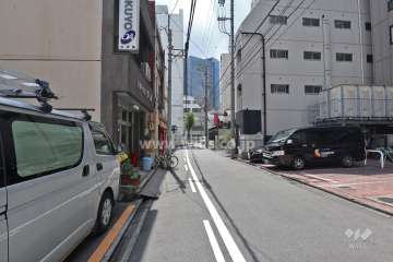 敷地東側の前面道路(北側から)