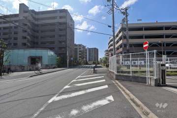 敷地西側の前面道路（北側から）