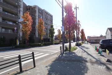 敷地西側の前面道路