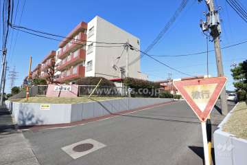 敷地入り口（南側）