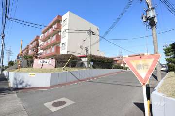 敷地入り口（南側）