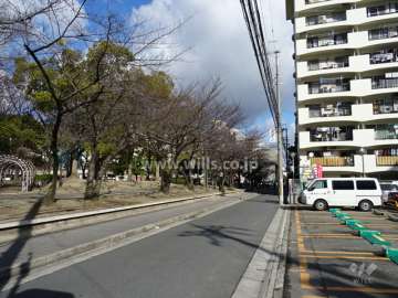 敷地西側の前面道路（南側から）
