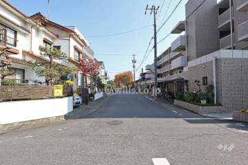 敷地北側の前面道路（西側から）