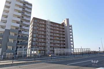 パレス松蔭の外観（北側から）