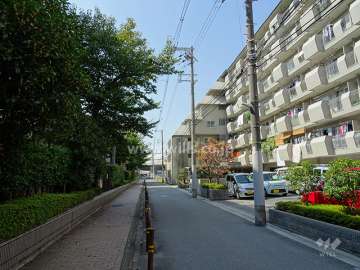 敷地南側の前面道路。敷地の南側には道路を挟んで「豊津第二小学校」があります。