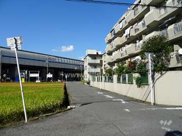 敷地西側の前面道路