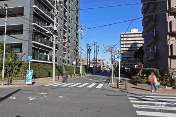 敷地東側の前面道路（南側から）