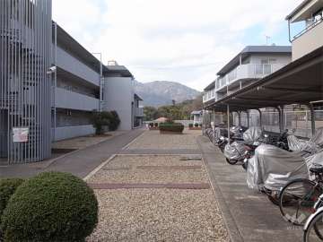 敷地中央にある広場と駐輪場