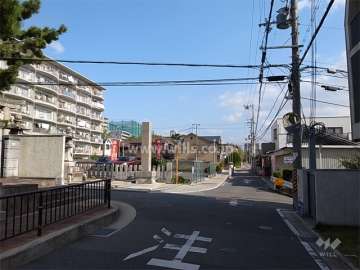 敷地南側の前面道路。周辺はマンションと一戸建てが混在する静かな住宅地です。