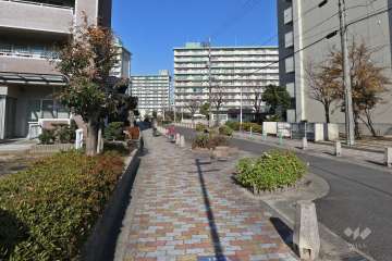 敷地東側の前面道路（南側から）