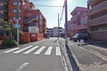 敷地西側の前面道路（北側から）