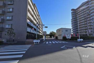 敷地南側の前面道路（西側から）