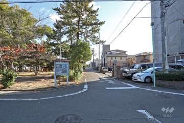 敷地北側の前面道路（西側から）