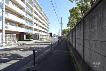 敷地南側の前面道路（高畑東西第4号線）